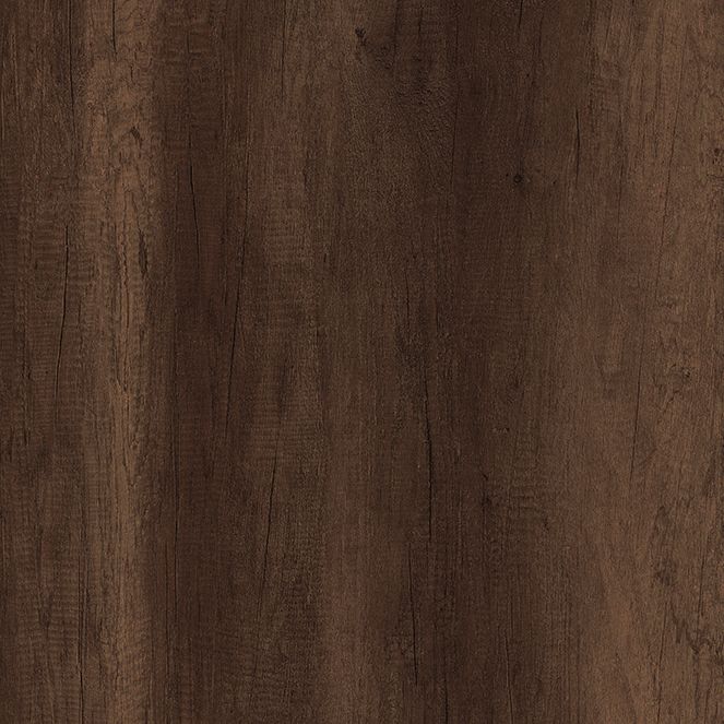  Mikasa Image