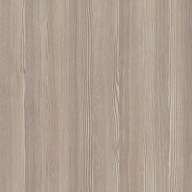  Mikasa Image