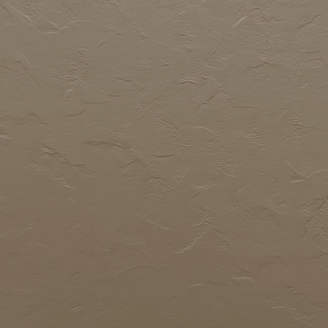  Mikasa Image