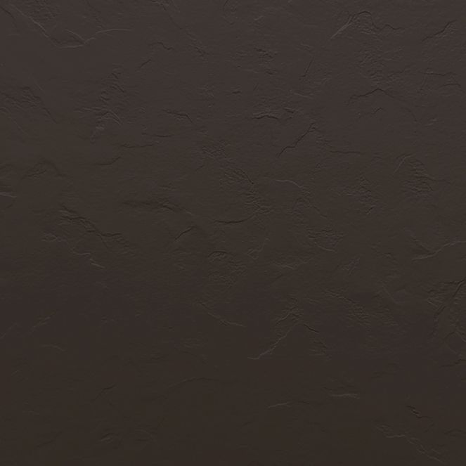  Mikasa Image