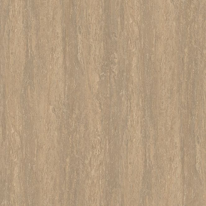  Mikasa Image