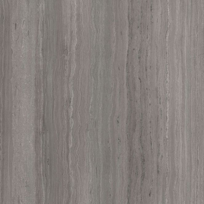  Mikasa Image