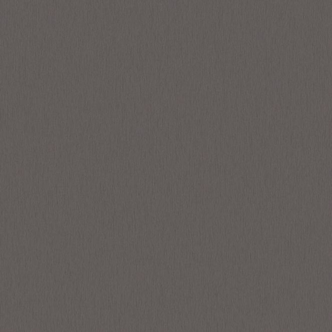  Mikasa Image
