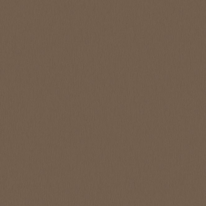  Mikasa Image