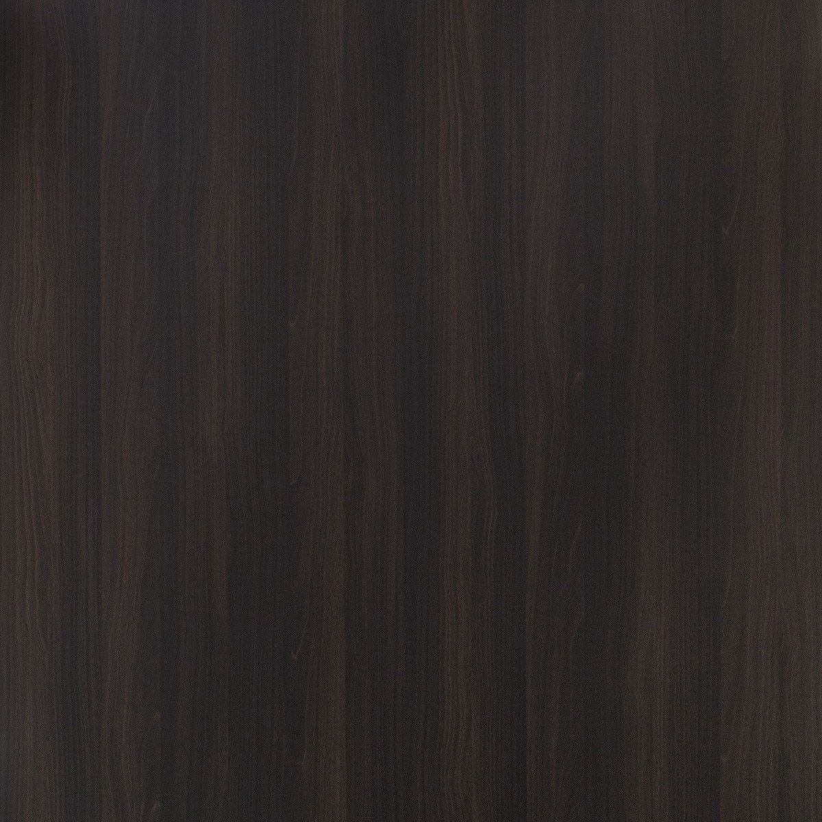  Mikasa Image