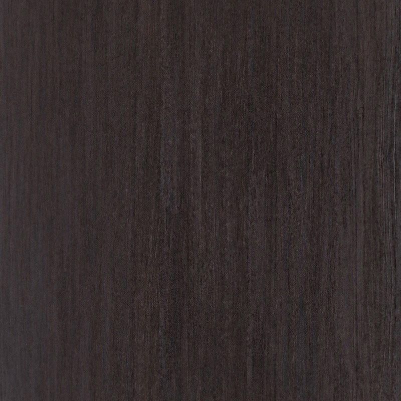  Mikasa Image