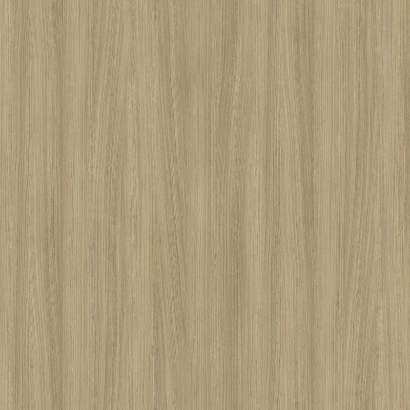  Mikasa Image