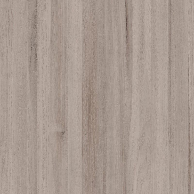  Mikasa Image