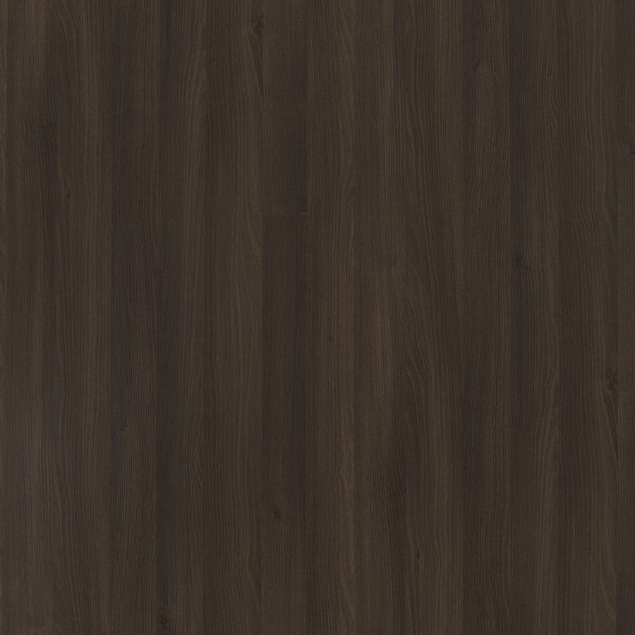  Mikasa Image
