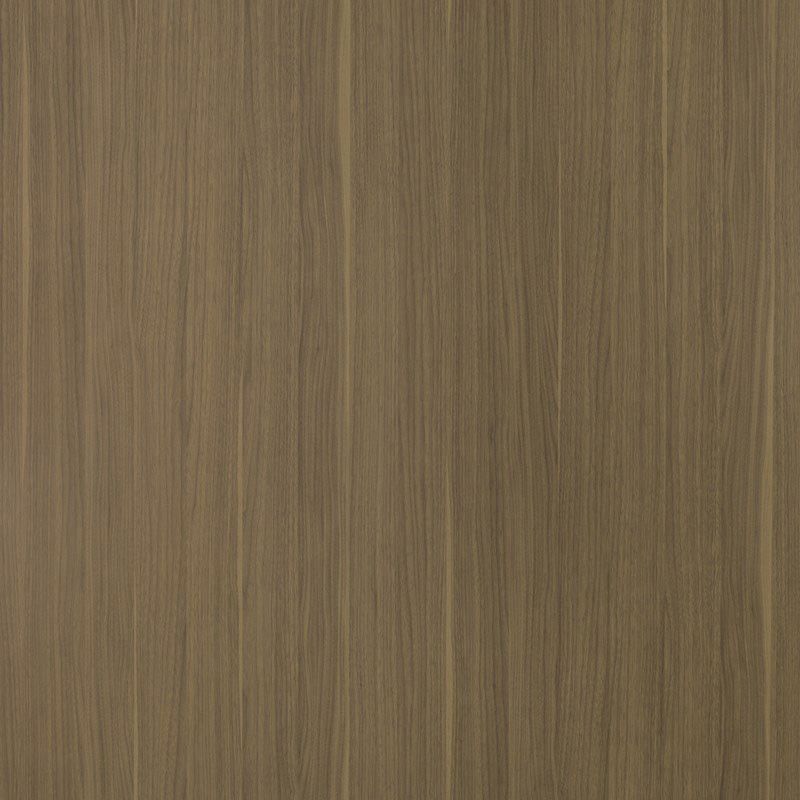  Mikasa Image