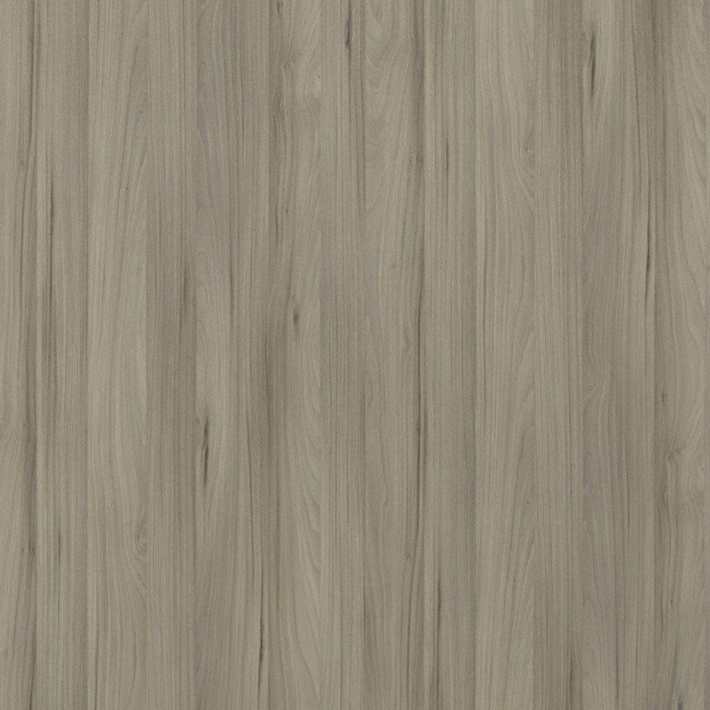  Mikasa Image