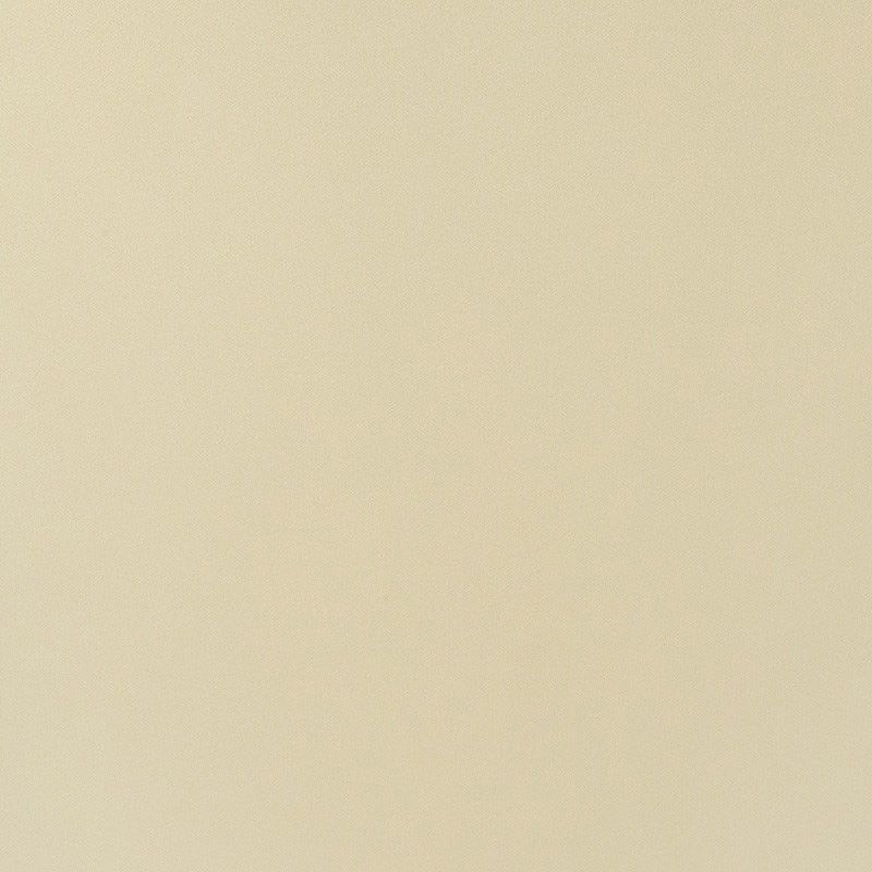  Mikasa Image