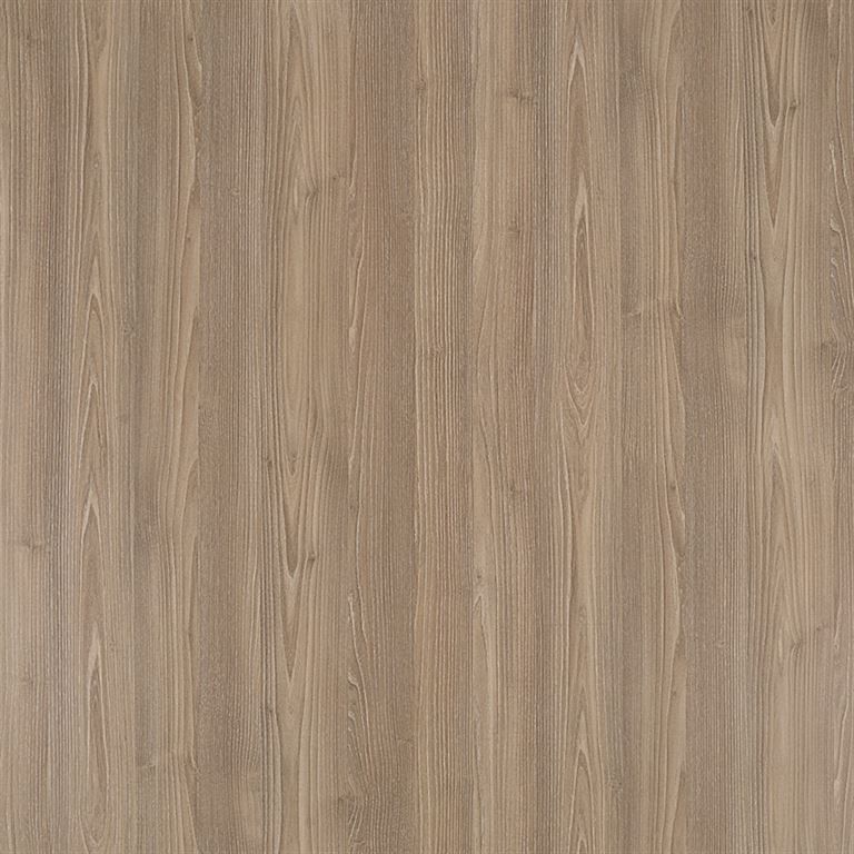  Mikasa Image