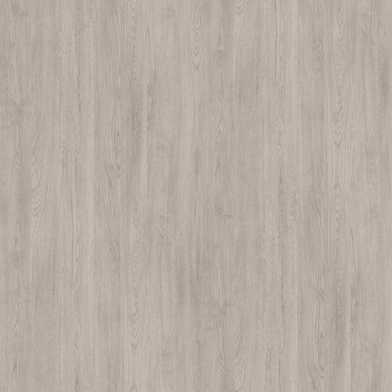  Mikasa Image