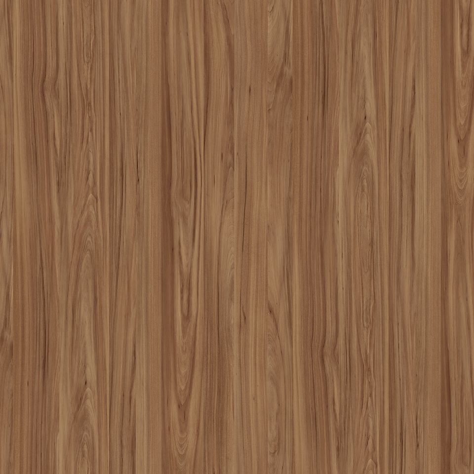  Mikasa Image