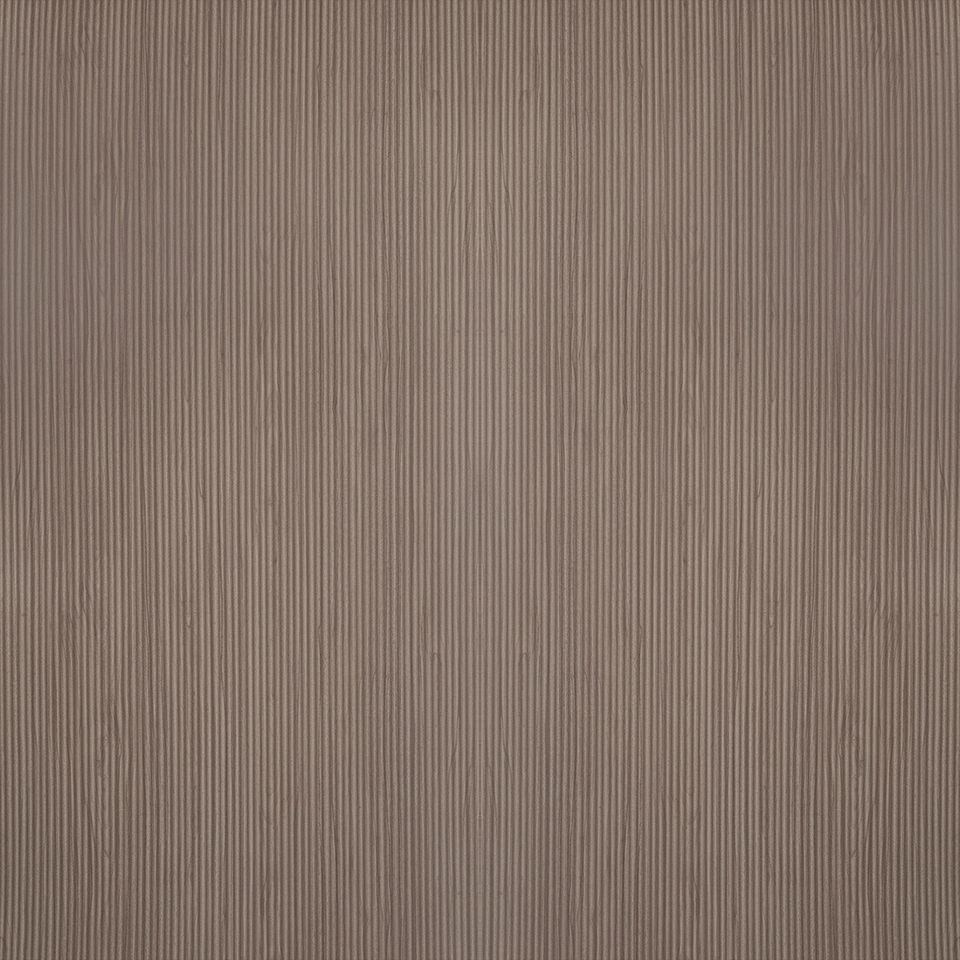  Mikasa Image