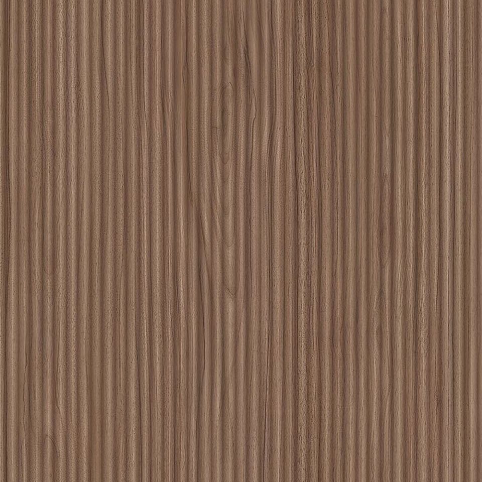  Mikasa Image