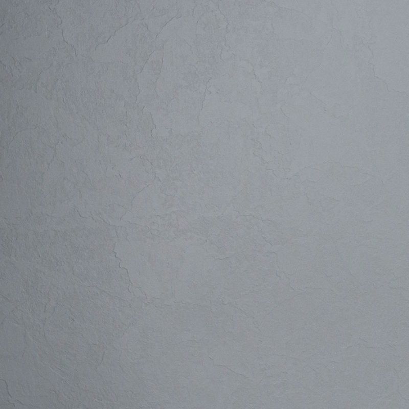  Mikasa Image