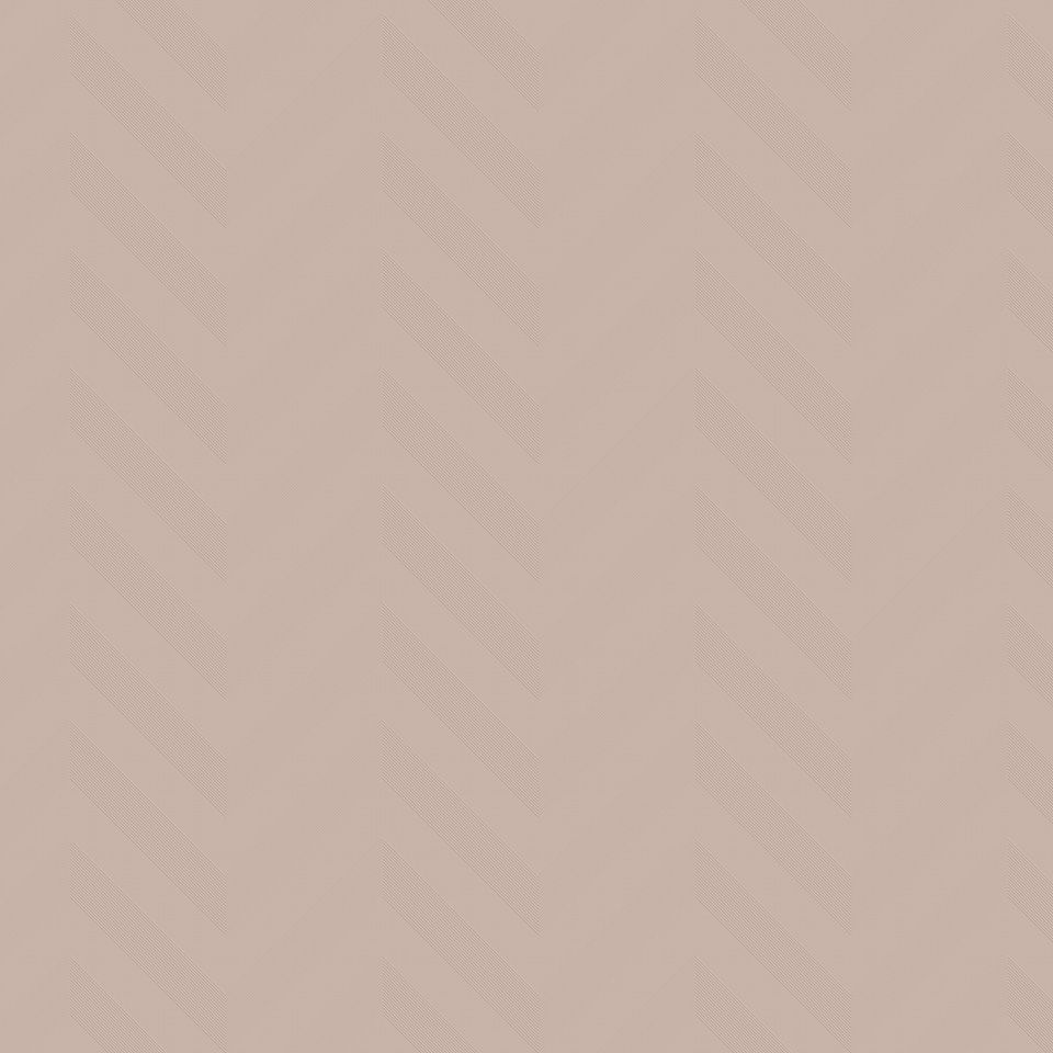  Mikasa Image