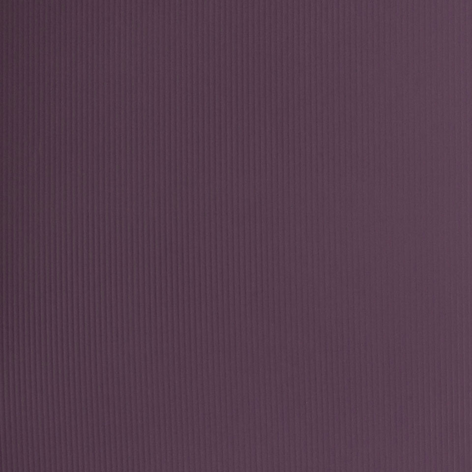  Mikasa Image