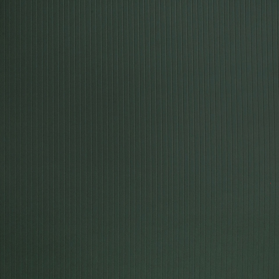  Mikasa Image