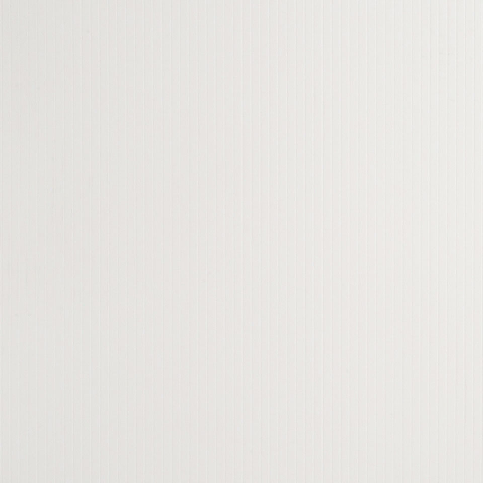  Mikasa Image