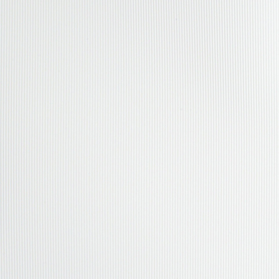  Mikasa Image