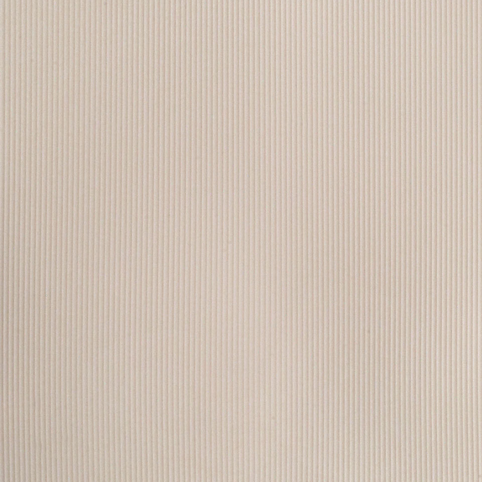  Mikasa Image