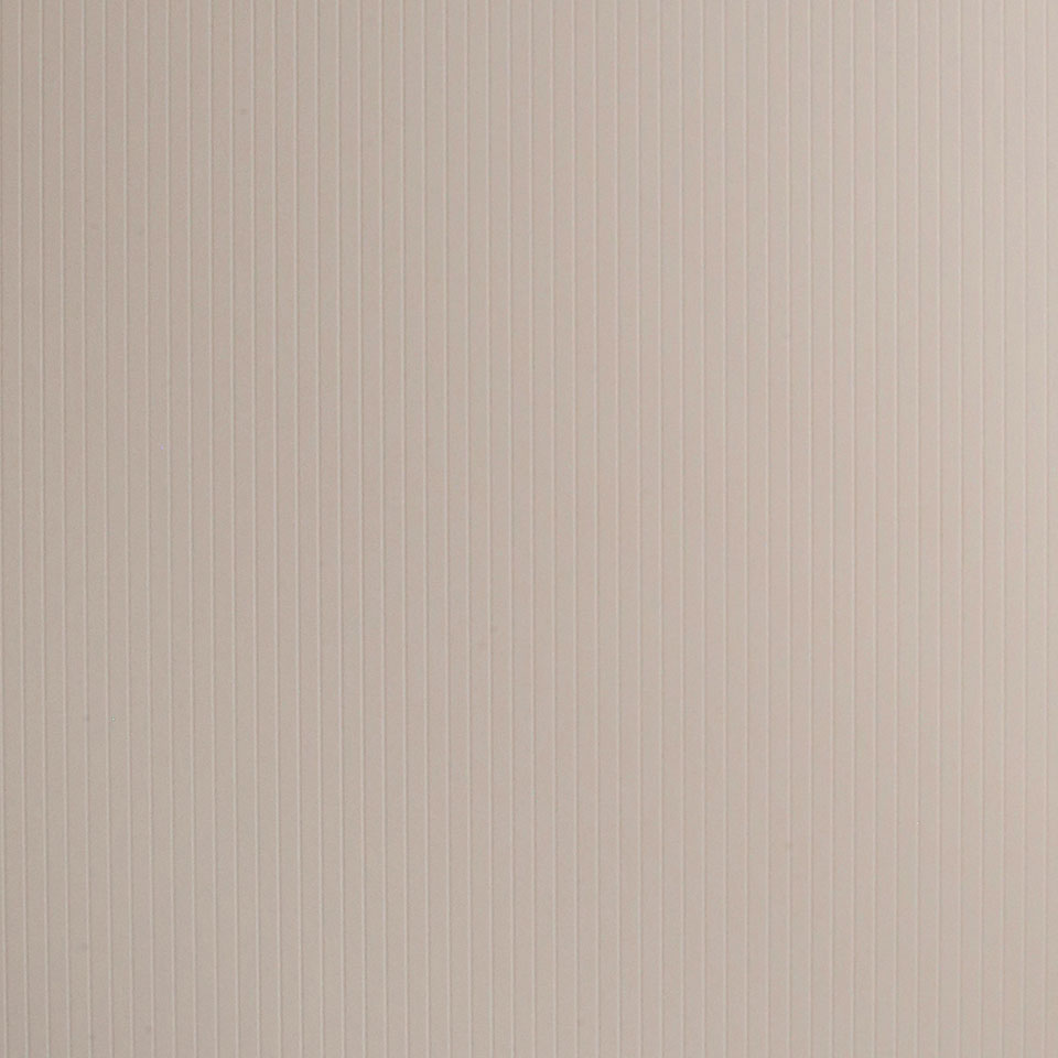  Mikasa Image