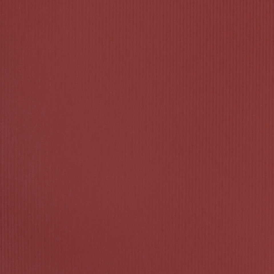  Mikasa Image