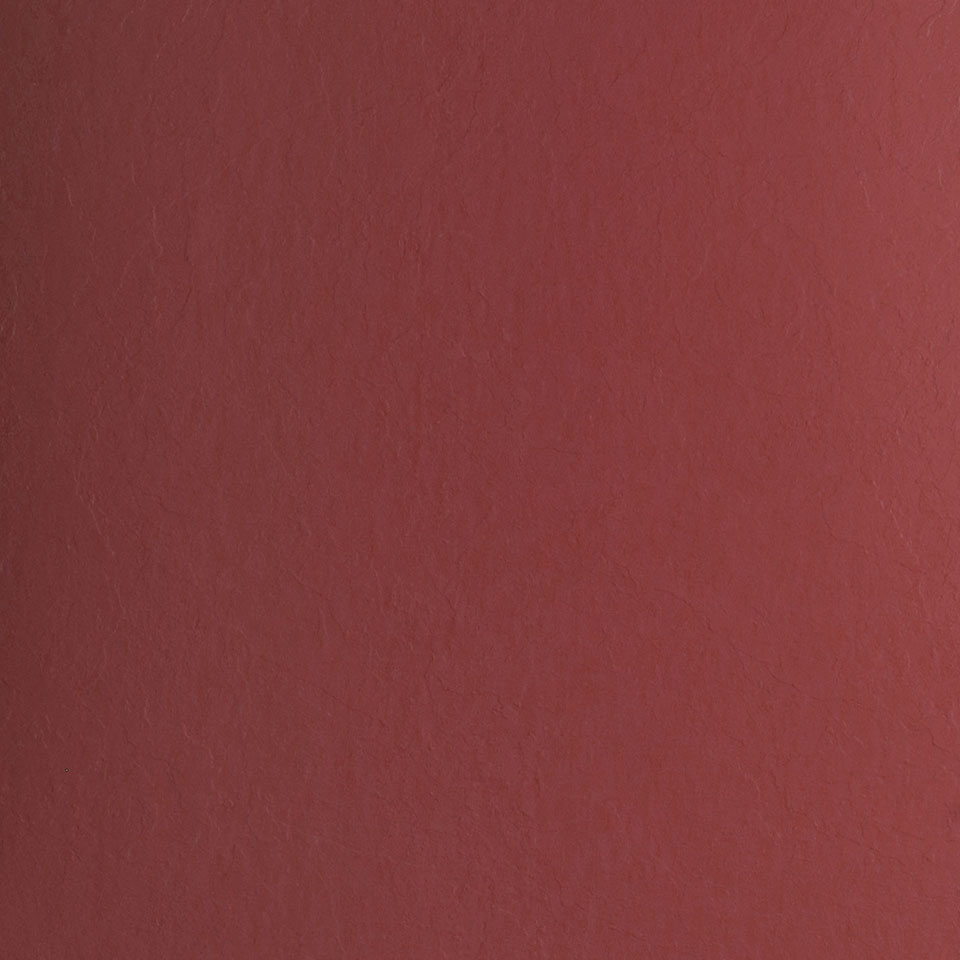  Mikasa Image