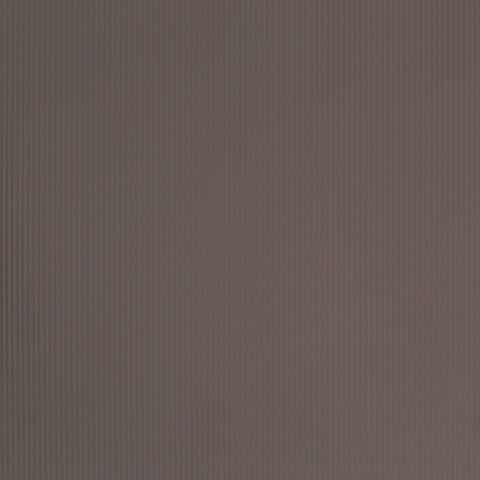  Mikasa Image