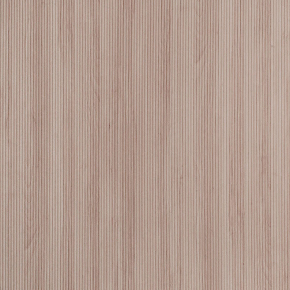  Mikasa Image