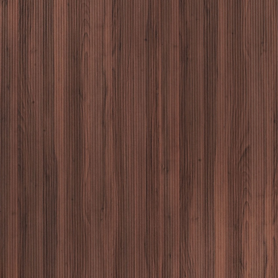  Mikasa Image