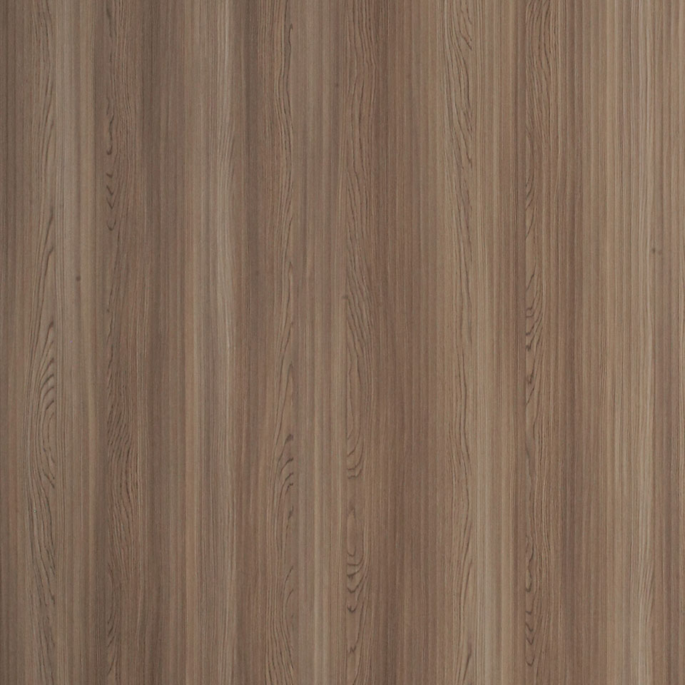  Mikasa Image