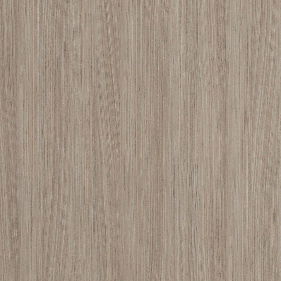  Mikasa Image