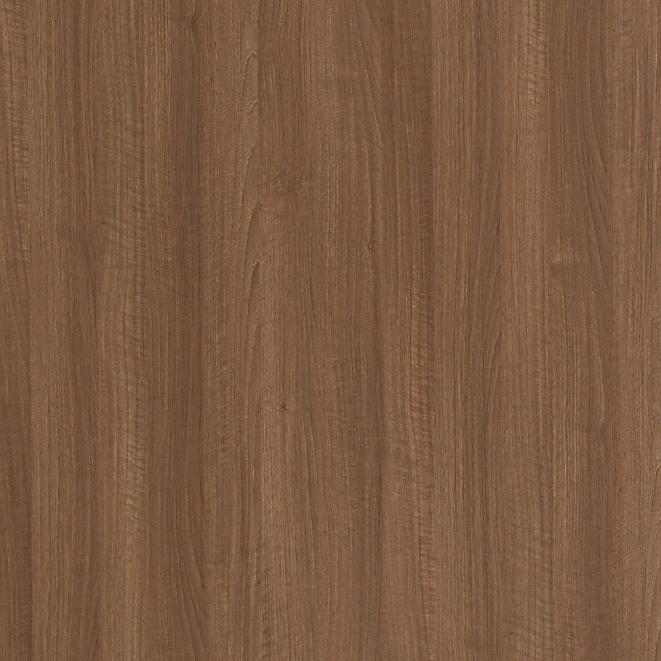  Mikasa Image