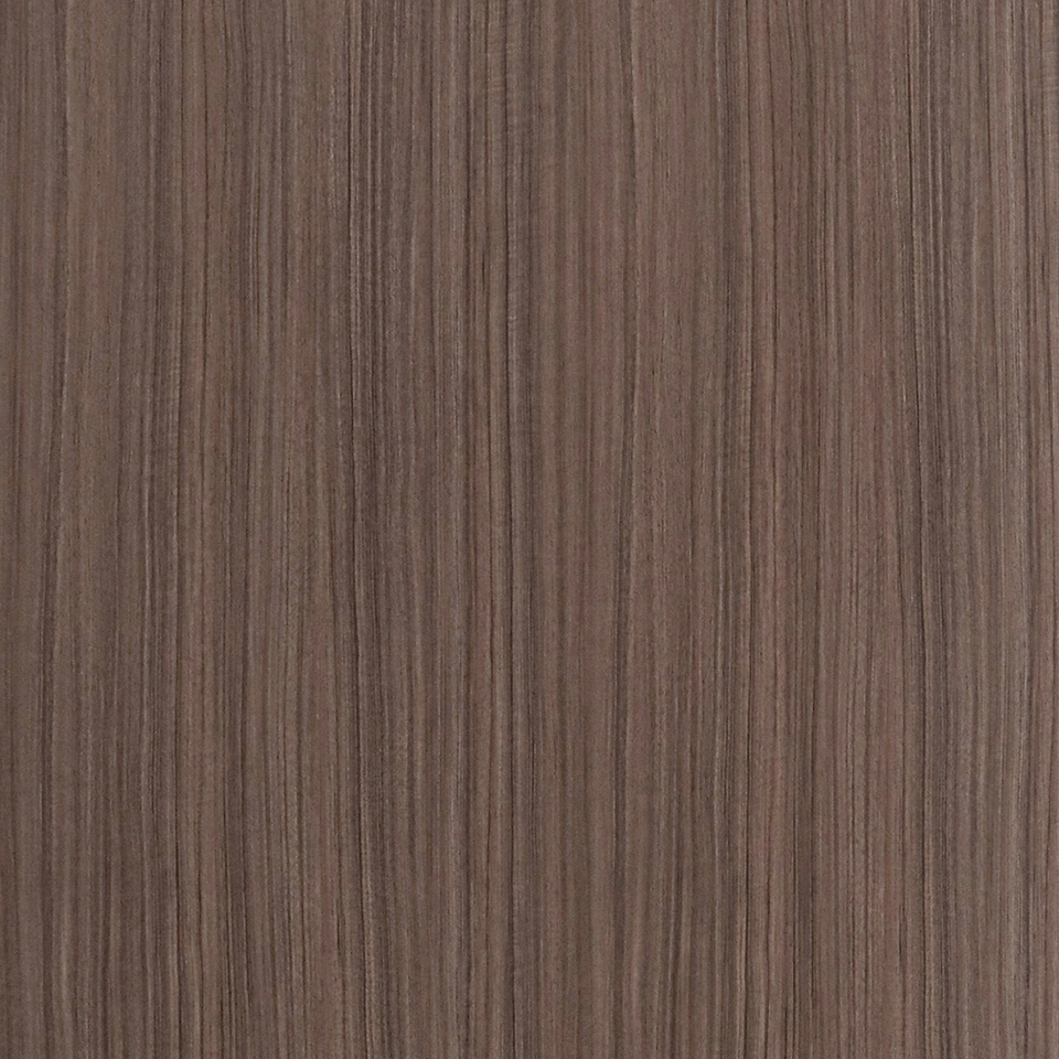  Mikasa Image