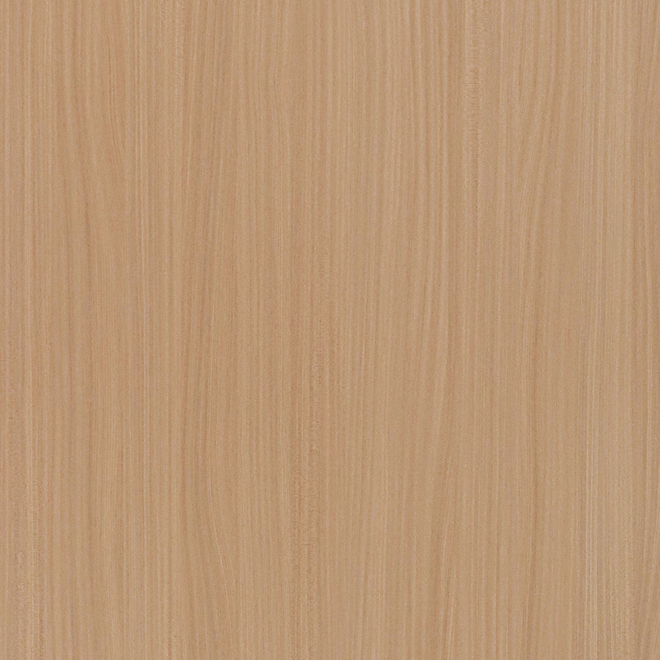  Mikasa Image