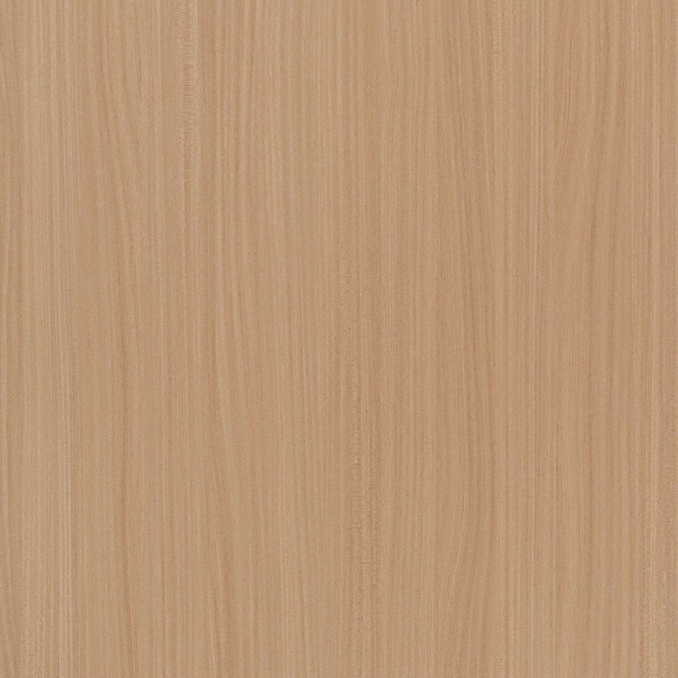  Mikasa Image