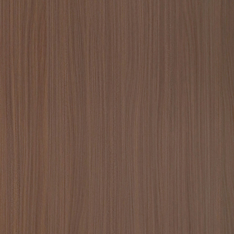  Mikasa Image