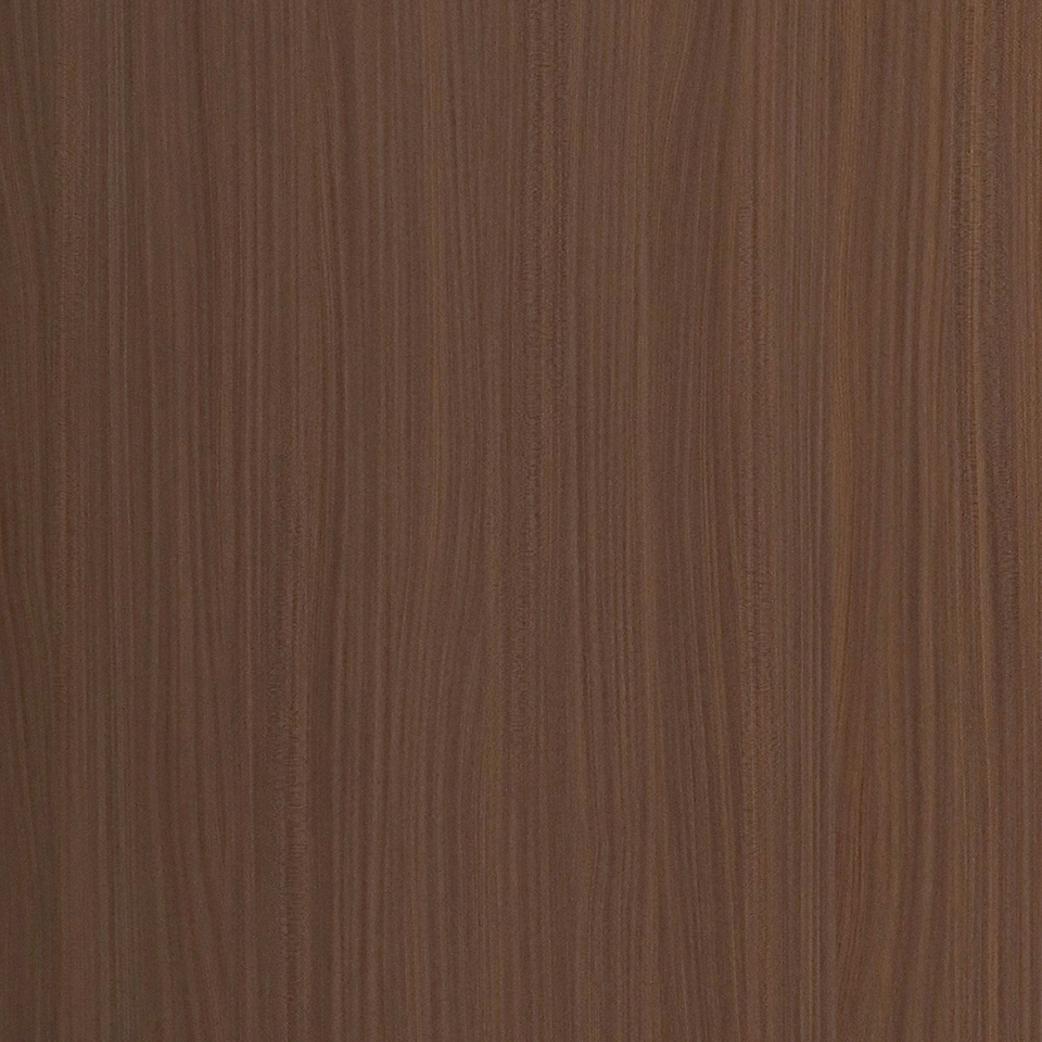  Mikasa Image