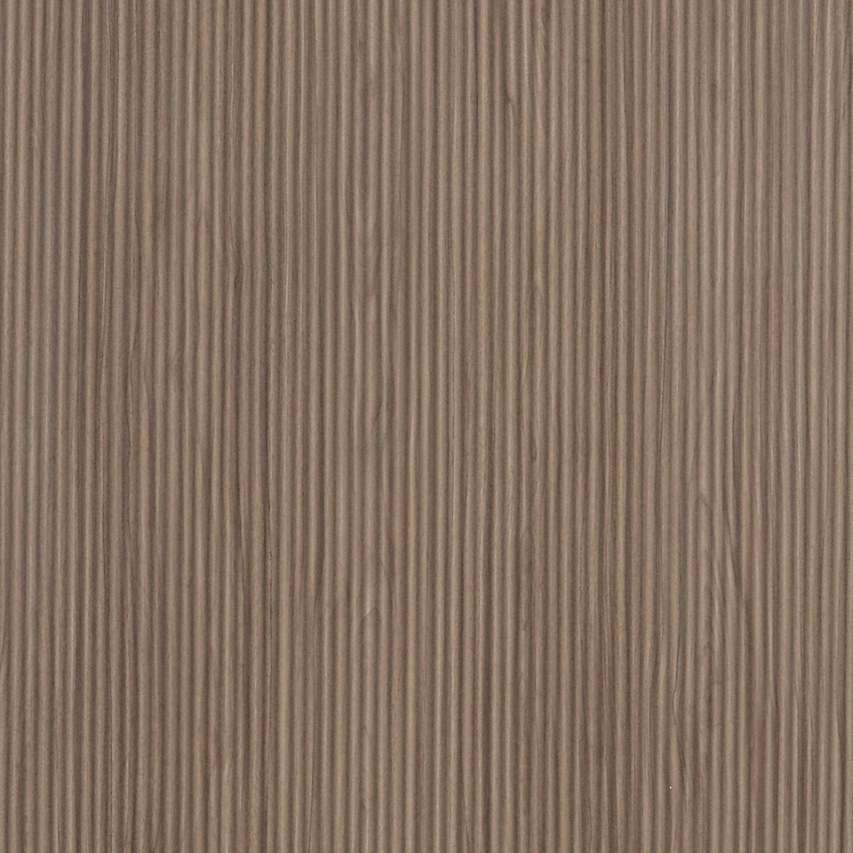 Mikasa Image