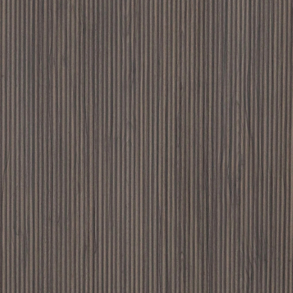  Mikasa Image