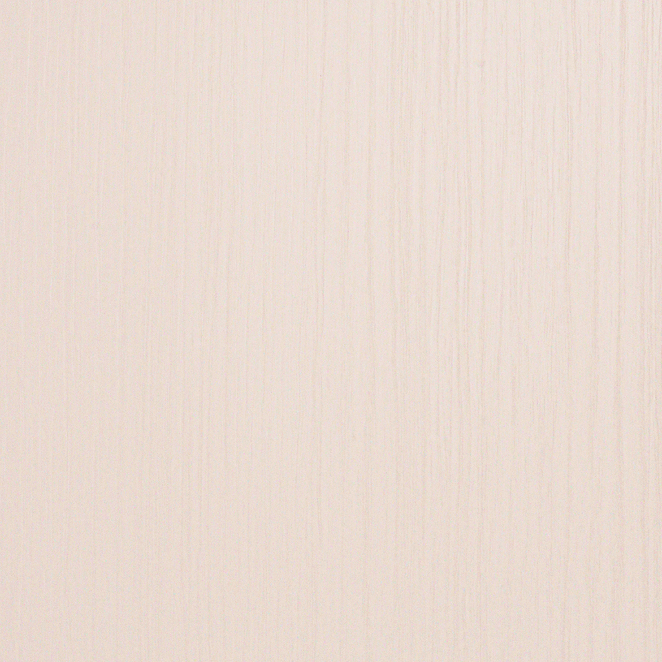  Mikasa Image