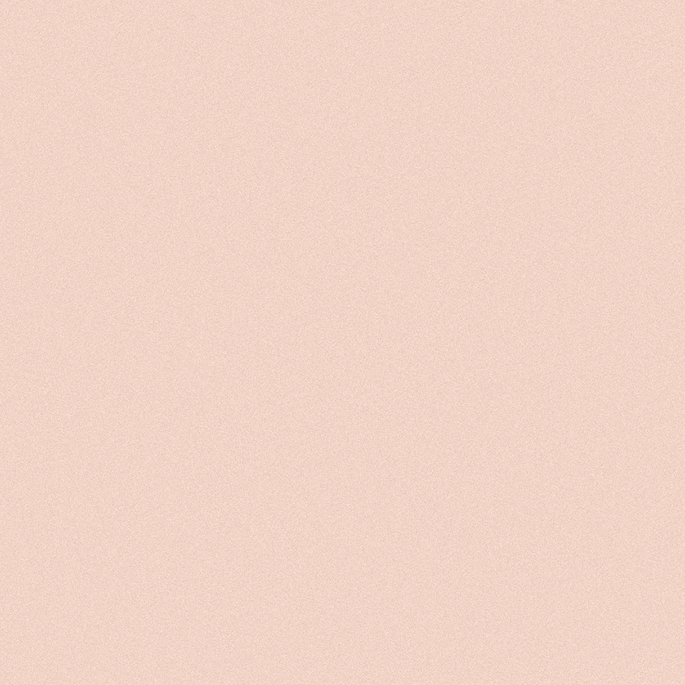  Mikasa Image