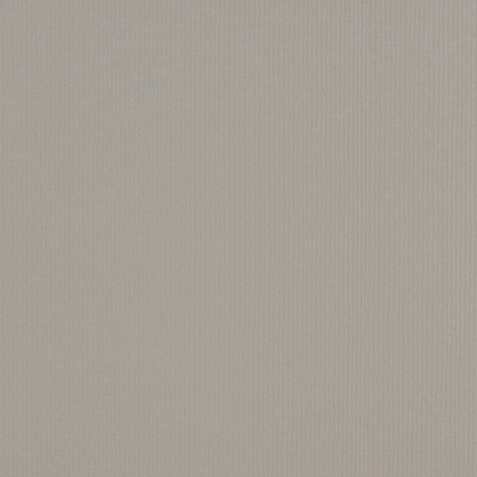  Mikasa Image