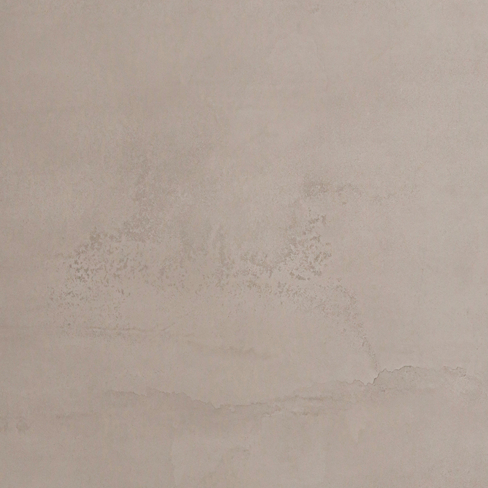  Mikasa Image