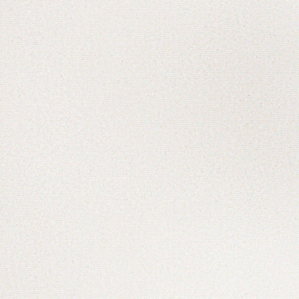  Mikasa Image